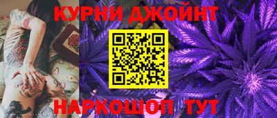 гидра Рязань