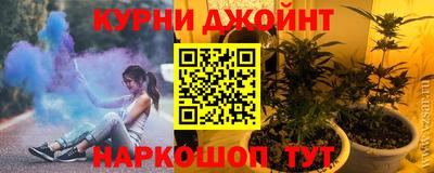 гидра Рязань