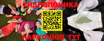 гидра Рязань