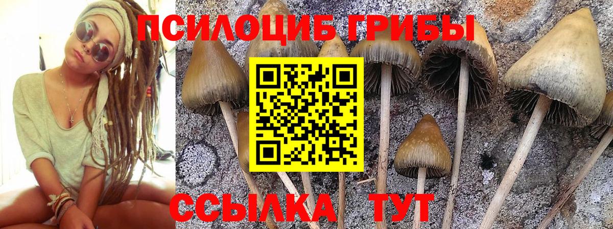 Обнинск  Псилоцибиновые грибы мухоморы  купить  цена  Вход с VPN 