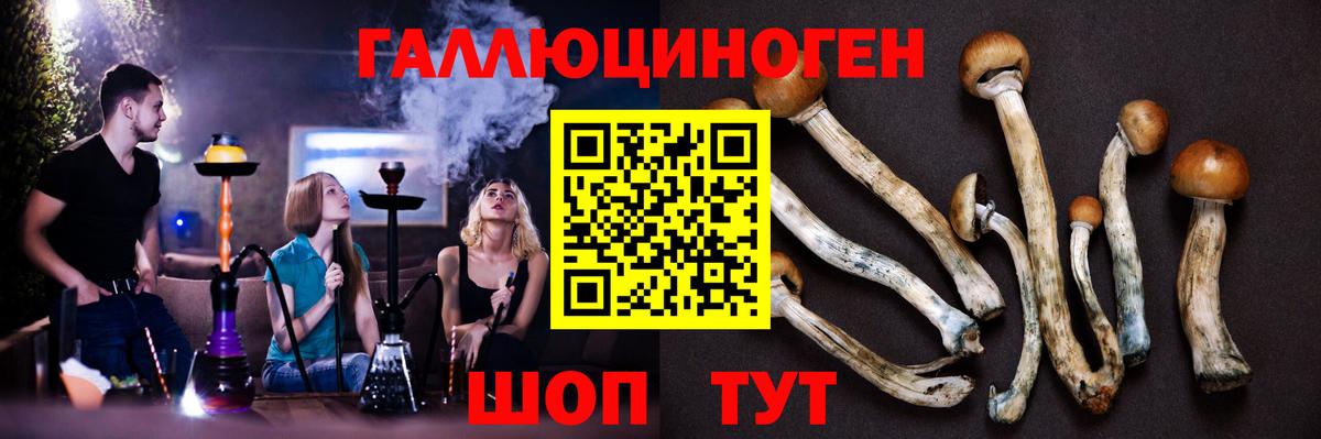 Галлюциногенные грибы прущие грибы Обнинск