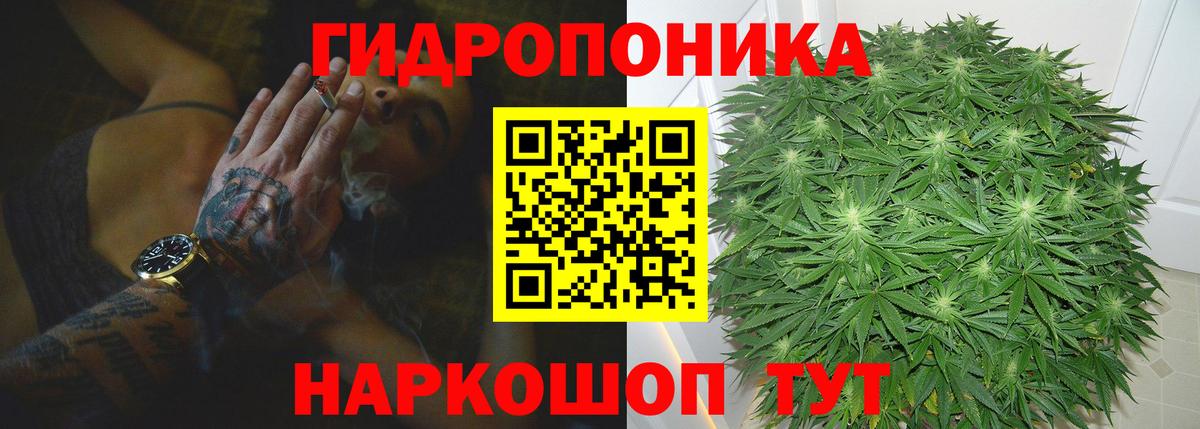 Конопля White Widow Обнинск